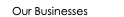 Our Businesses
